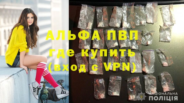 мяу мяу кристалл Богданович