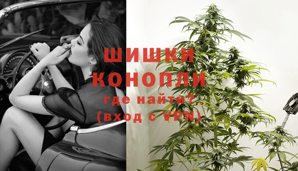 мяу мяу кристалл Богданович