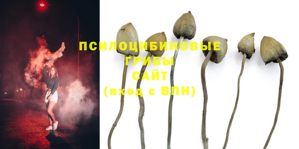 бошки Осинники