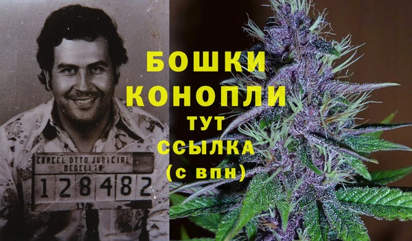 спайс Богородицк
